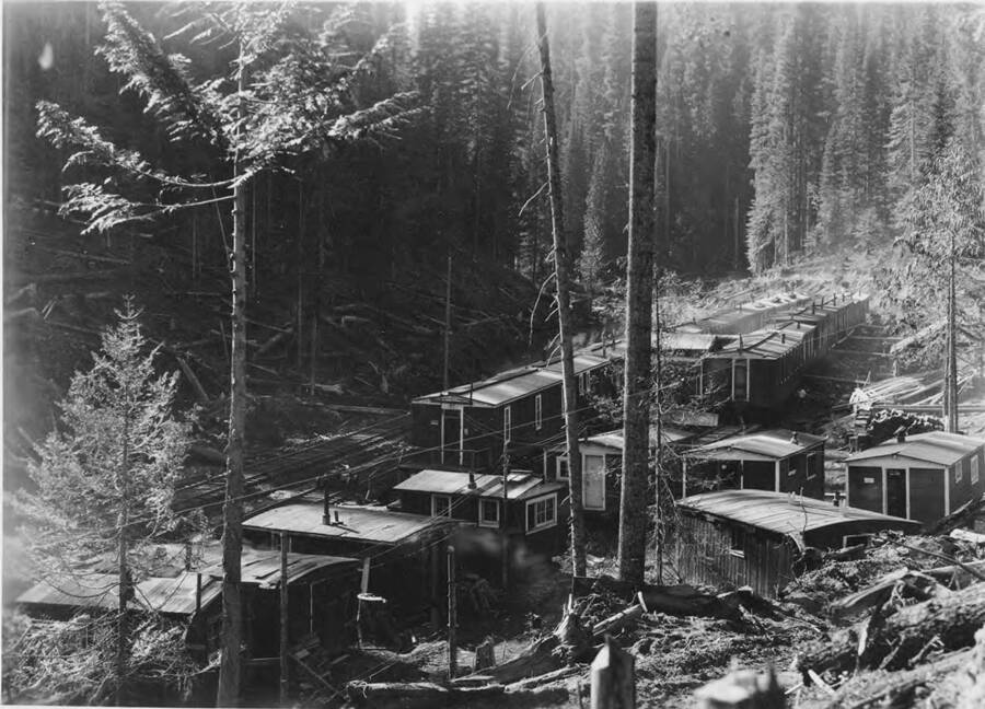 A view of camp 11 near Bingo Creek, Idaho. Bunkhouses line the area near the railroad.