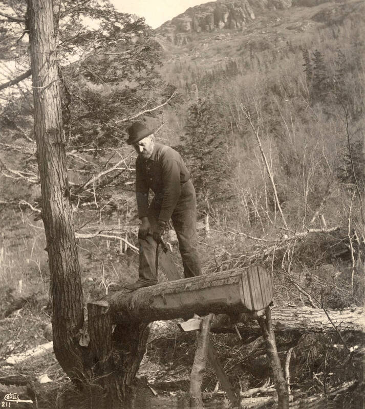 An old-timer hand sawing lumber in Alaska