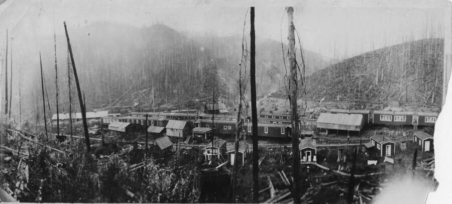 Camp D showing the bunkhouses that were elevated railcar type houses. Behind the bunkhouses the land is cleared of many trees and looks like it has been burned in a forest fire.