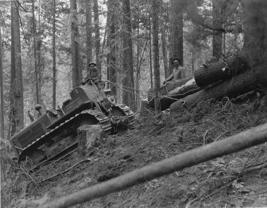 A man uses a caterpillar to skid logs down a steep hillside while another man watches.