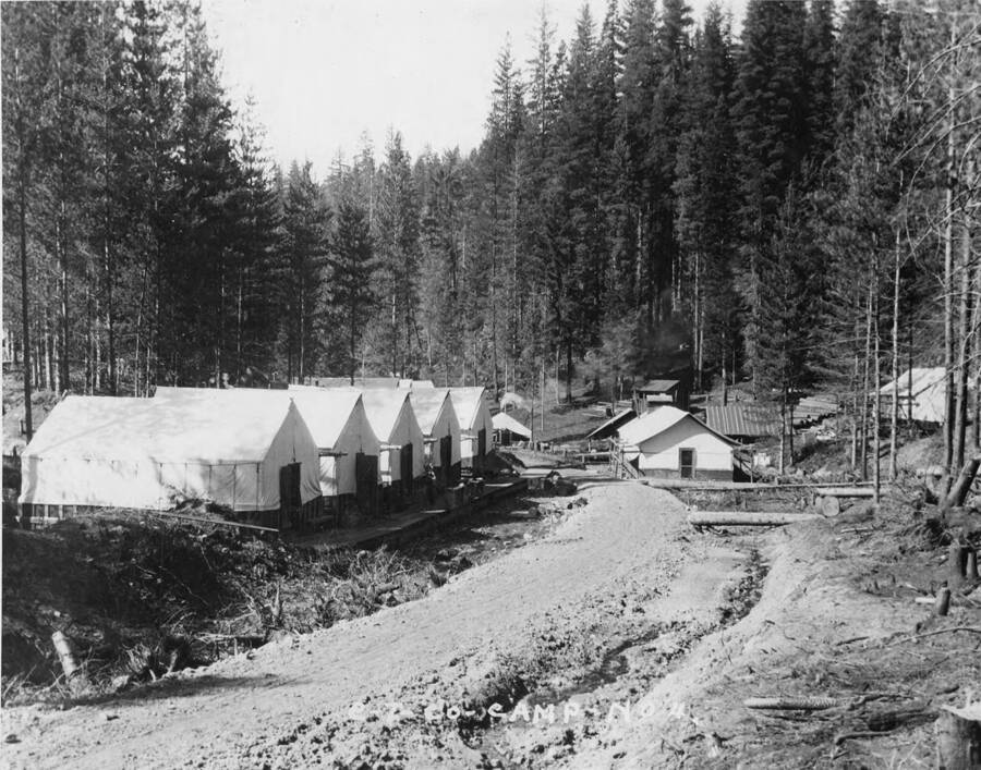 Viewing camp 4. To the left of the road are the bunkhouses for the lumberjacks, while further down the road is administrative buildings and the cookhouse.