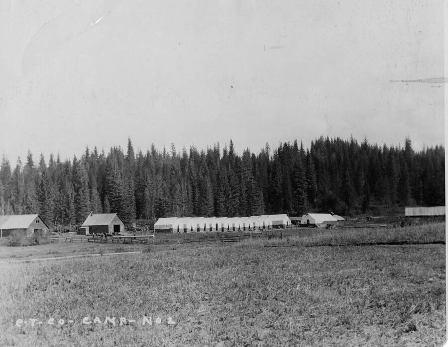 The back of the Camp 2 bunkhouses. Also in the picture two horses used for moving the logs.
