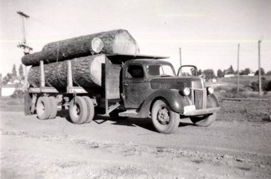 Logs loaded on a truck and transported to the pond.