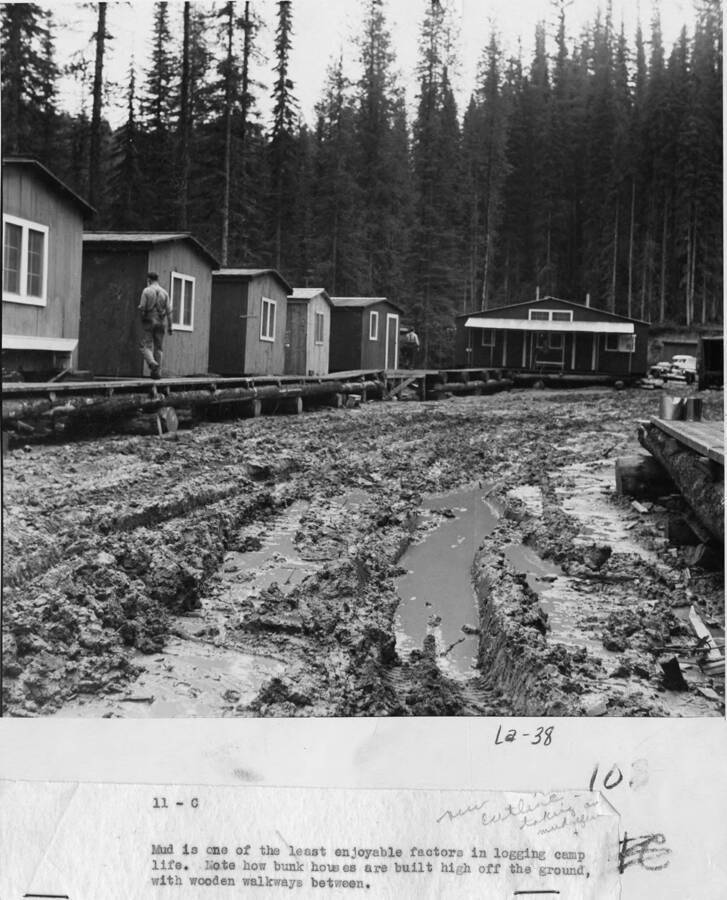 A man walks on the elevated walkway between the bunkhouse to avoid the mud. The description attached to the photograph 'mud is one of the least enjoyable factors in logging camp life. Note how bunk houses are built high off the ground, with wooden walkways between.'