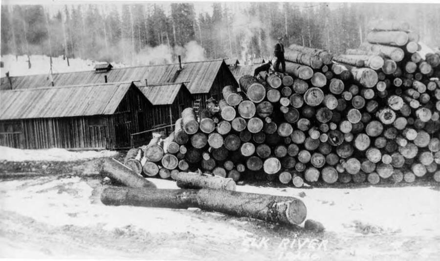 A man and dog stand atop a log deck stacked at Camp L. Behind him are the bunkhouses for the camp. According to the description written on the envelope, these logs were ready to head down the flume.