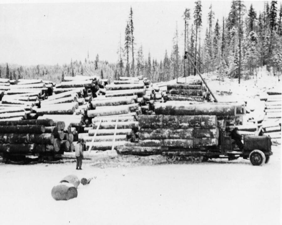 A logger stands and watches as a crane moves log to a truck nearly full of logs. Description on the back reads 'Linn (?) half-tank (?) truck.'