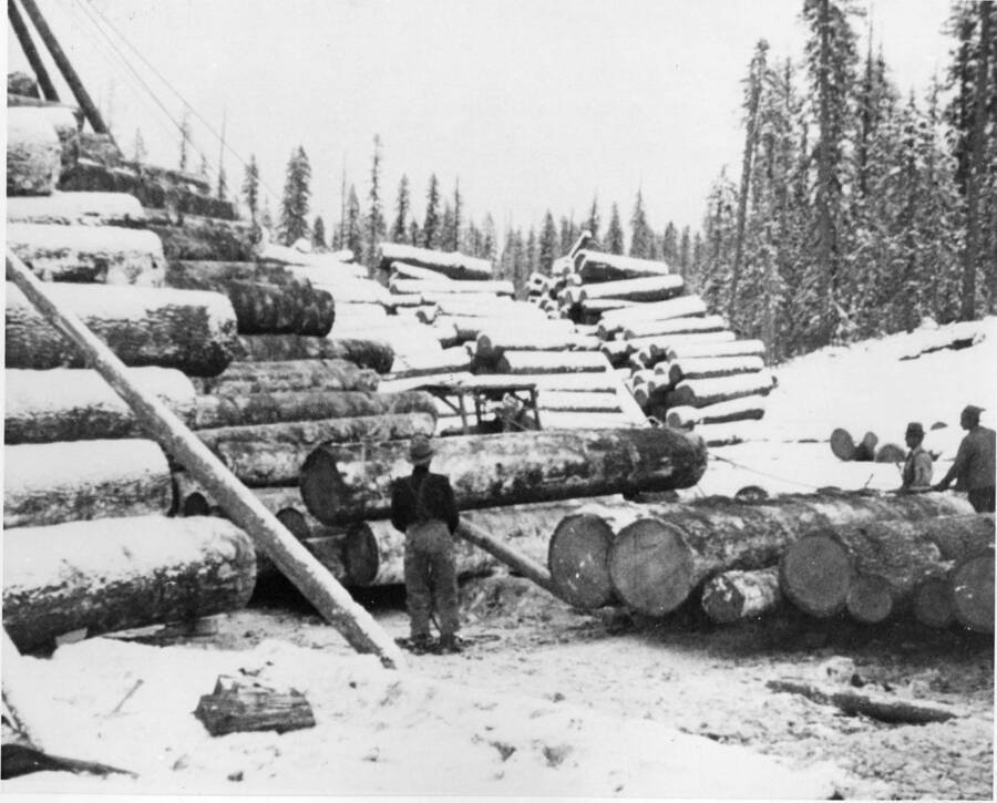 Men stand next to large logs watching a crane. Snow covers everything around the site.