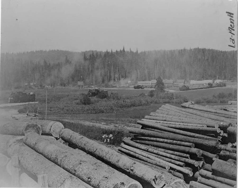 Log decks are piled in a meadow. In the distance is Camp 2.