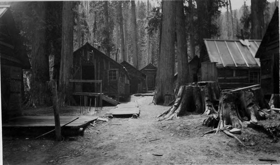 The bunkhouses of camp P are seen. Also several of the large stumps of trees that use to stand there. In the center of the photograph is part of the wooden walkway used for getting around camp in muddy times.