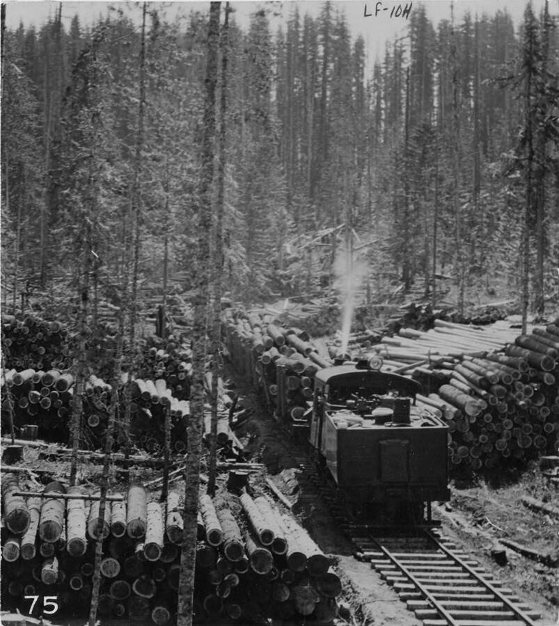 Several log decks are stacked near the railroad tracks awaiting transport to a mill. Already on the tracks are several cars full of logs.