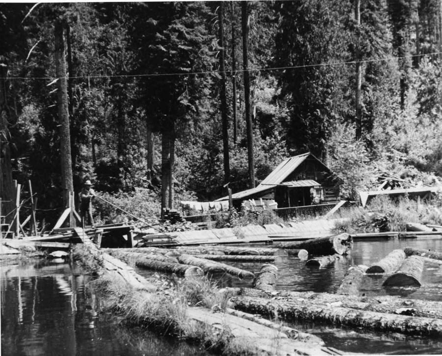 A man pushes logs away from the side at Sourdough Dam. To the left of the man stands a cabin