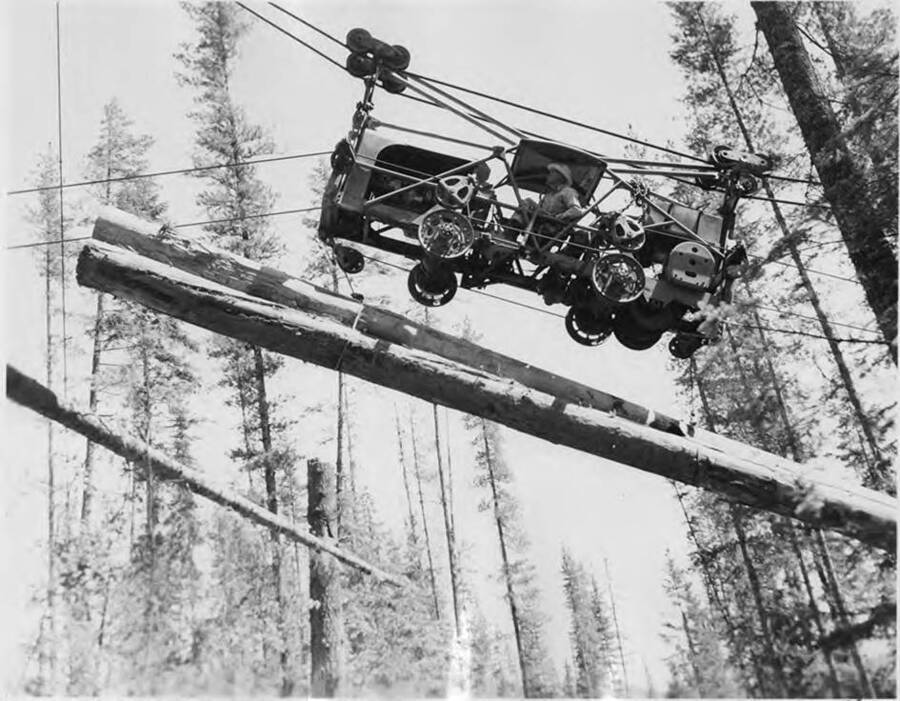 A man driving a sky trolley carries two logs.