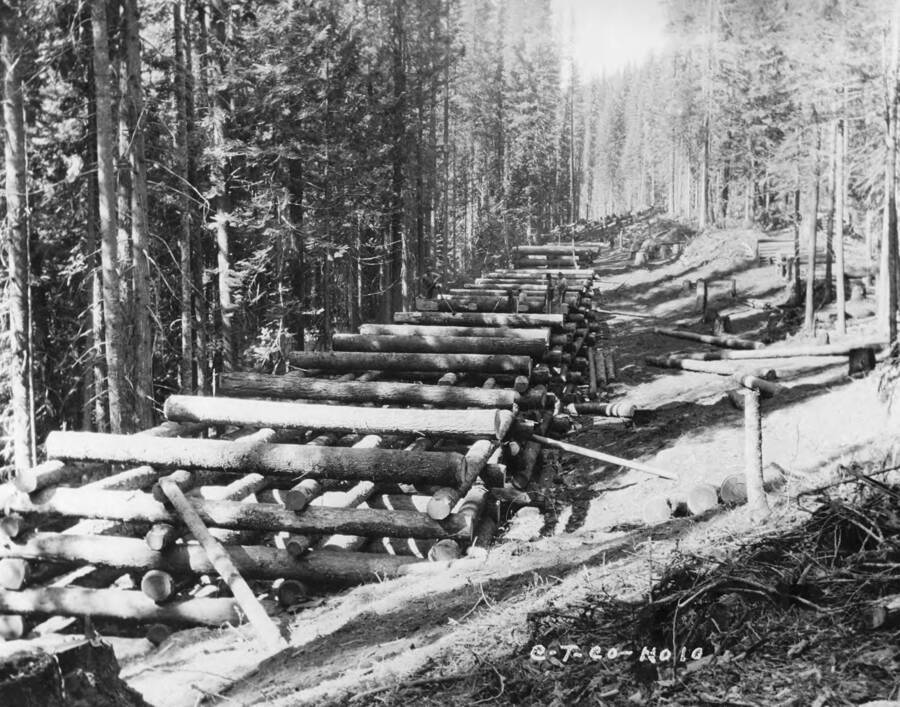 Logs are stacked to build a log flume down a mountain.