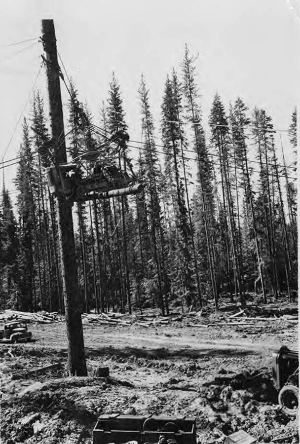 A man drives a sky car carrying a log in Camp 55.