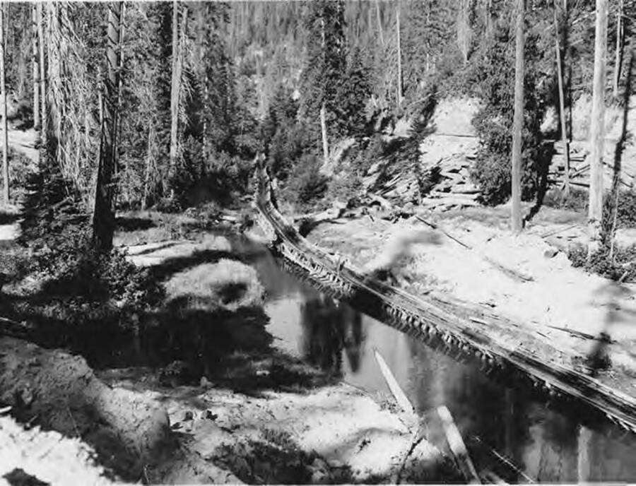 The log flume near camp L. The description on the back says 'CP L - entering spacing dam mid-way to river.'