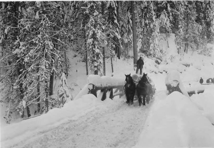 A driver stands atop a load of logs being pulled on a sleigh by two horses across a bridge in winter.