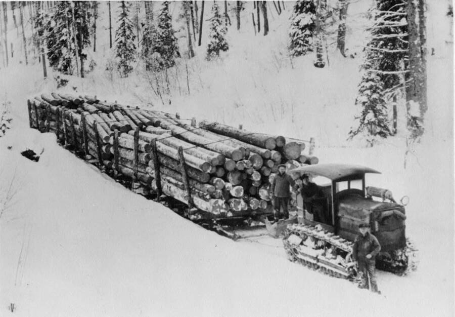 An early caterpillar pulls six sleighs full of logs through the snow.