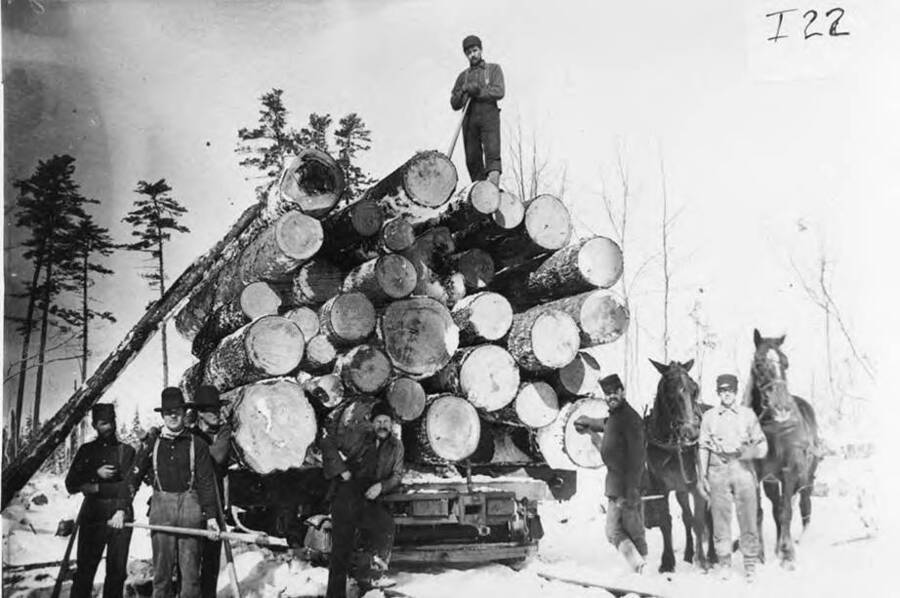 Men pose for a picture in front of one of the sleighs used for transporting logs. On the left side of the photograph a ladder can be seen leaning against the load, while on the right, a man holds two horses.