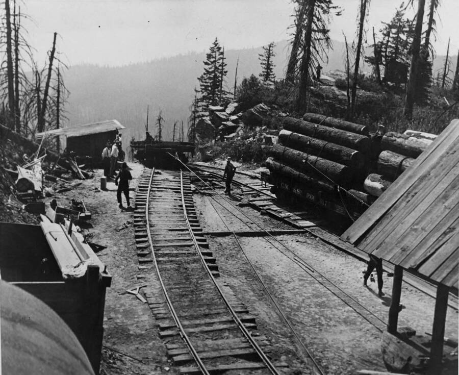 An empty flatcar is winched onto an open siding on the incline near Clarkia, Idaho on Merry Creek. On the other track are a full flatcar waiting to be lowered down the incline.