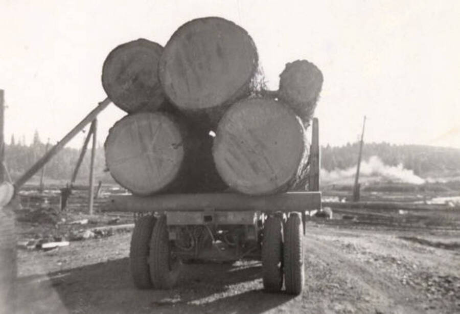 Logs loaded on a truck and transported to the pond.