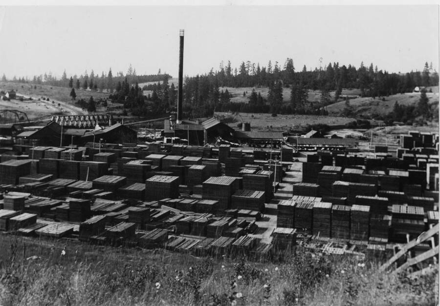 The lumber yard at the mill in Palouse, Washington.