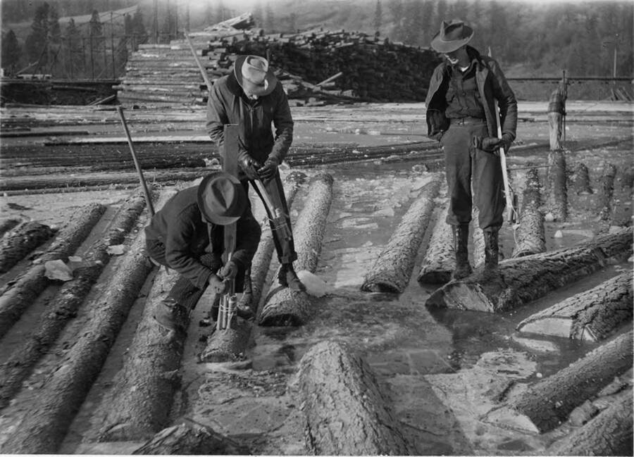 A man ties a group of dynamite together in order to break up the frozen river with logs. Two other men stand watching behind him also holding bundles of dynamite.