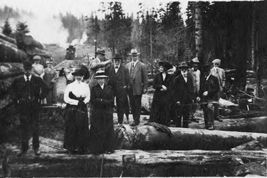 A group of people stand on logs next to railcars filled with logs as a steam engine is moving toward them in the background. Mr. L. Weyerhauser stands in the second line behind the woman with the white hat. Mr. Peter Musser stands fourth from the right, net to the woman.