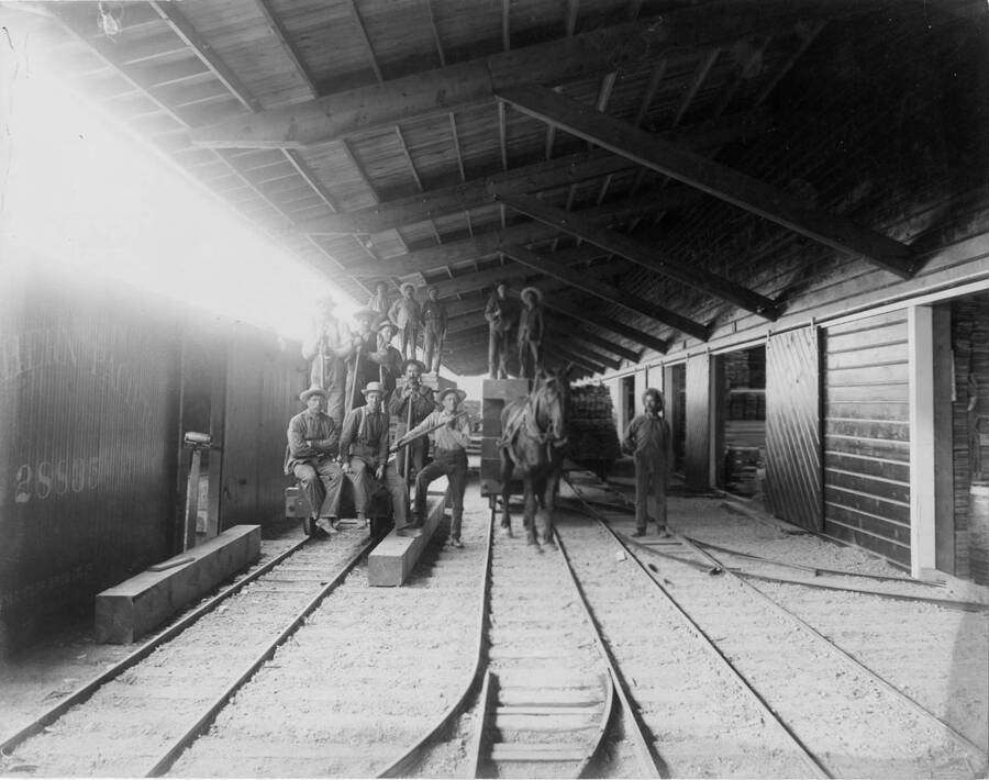 Group of men take a break from loading lumber to pose for a photograph. They are still using horse-drawn railcars to move lumber.