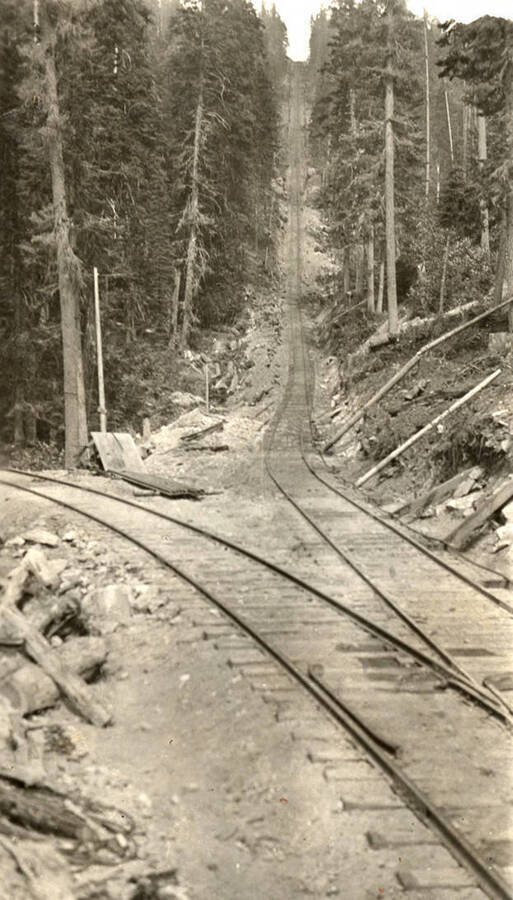 Inclined railroad in a logging area.