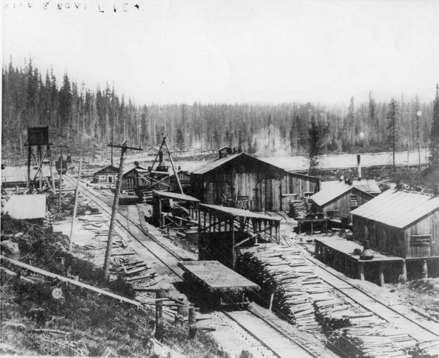 Old Camp 8 near Bovill, Idaho is shown. Railroad tracks run roughly through the center of the photograph while stacked to them is a log deck. The log pond can just barely be seen in the background.