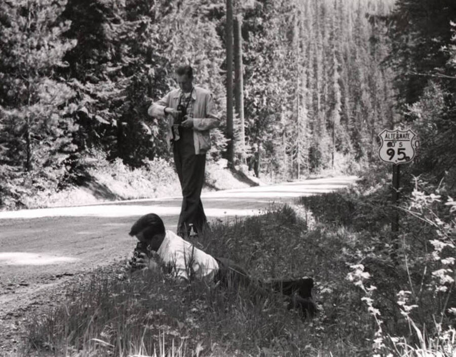 Two men photographing wild flowers.