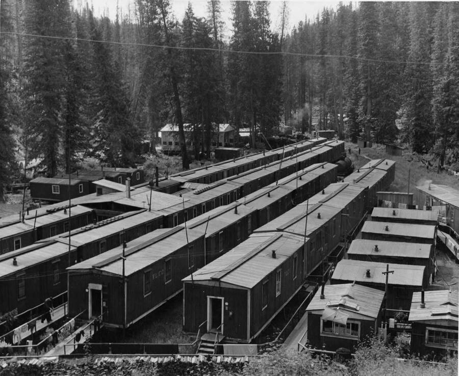A view of camp 35. The focus of the photograph are the bunkhouses which are raised above the ground. Also shown in the photograph are the raised walkways that lead between the bunkhouses.