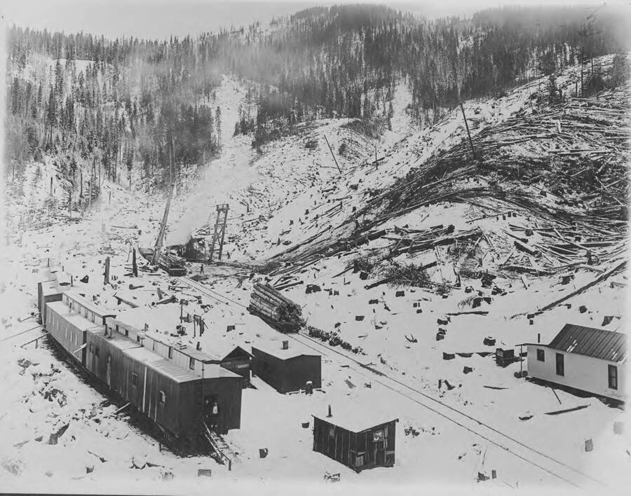 The logging operation of Camp 4. in the lower left corner are the bunkhouses. In the center of the photograph, a fully loaded flatcar waits to be transported, while ahead of it, more logs are loaded onto a  flatcar by a crane. Towards the right of the photograph, trees that have been felled can be seen.