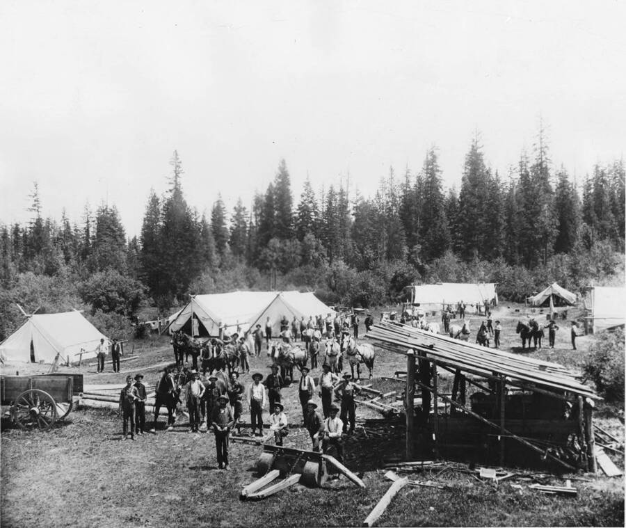 An early logging camp. In the background are large temps for the lumberjacks. Several men are holding teams of horses.