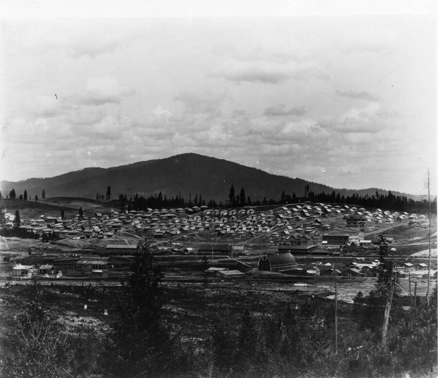 A panoramic view of Potlatch, Idaho.  The train depot can be seen behind the barn towards the right side of the photograph.