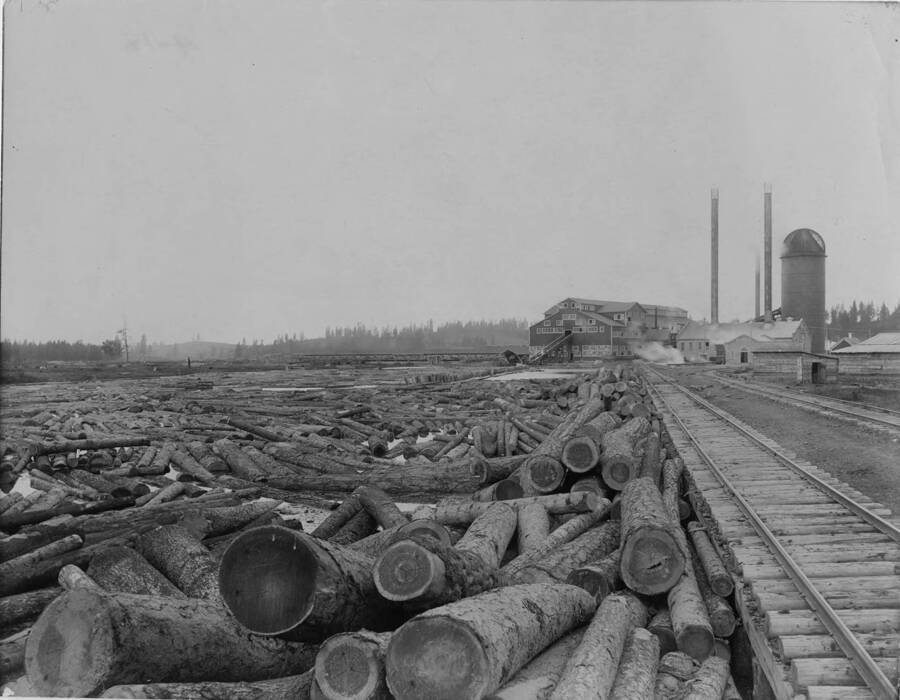 Logs are packed into the log pond at the Potlatch mill. Next to the pond are the train tracks used to carry logs to the pond. In the distance is the mill itself.