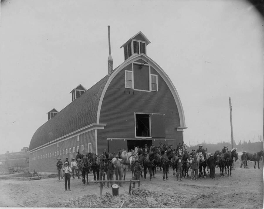 Men stand with the horse teams of the Potlatch Lumber company. The description on the back of the photograph reads 'Potlatch Horse barn - Potlatch ranch. From skidding oxen and horses. Horses Pot barn Park sleigh haul.'