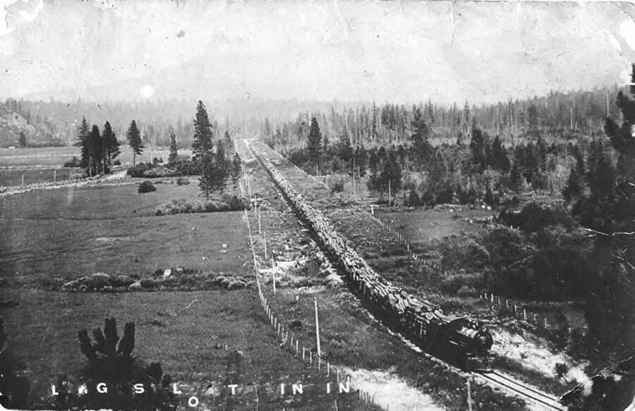 A long train full of logs travels in Idaho.