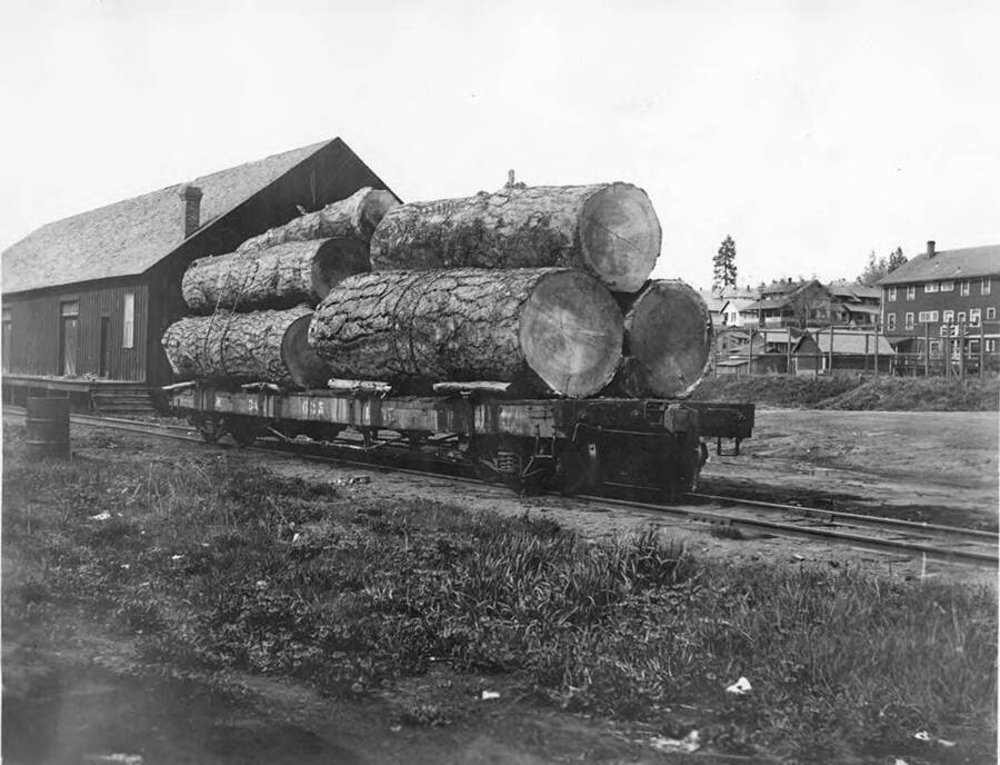 According the description on the back of the photograph, there are 11 logs which totaled 11 million feet of board of lumber. The flatcars sit on a siding near Potlatch, Idaho.