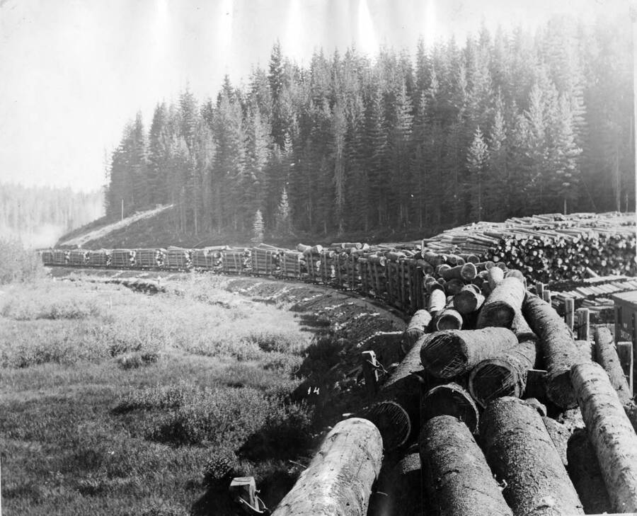 The first log train out of Jaype, Idaho. On the right hand side of the photograph are log decks waiting to be transported.