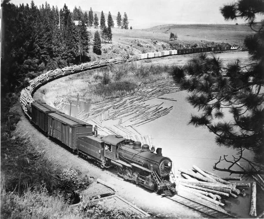 Engine #21 (a steam powered engine) takes a trainload of logs from Bovill to Potlatch following the Palouse River (information taken from the back of the photograph). This train is part of the Washington, Idaho & Montana Railway. The Photographer is Kramer A. Adams who's stamp of location of San Francisco, California is also on the photograph.