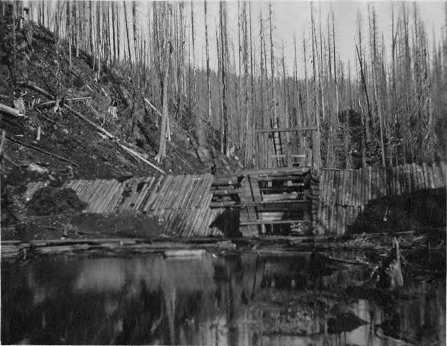One of many splash dams in the forest used to help bring logs downstream before the railroad came in.