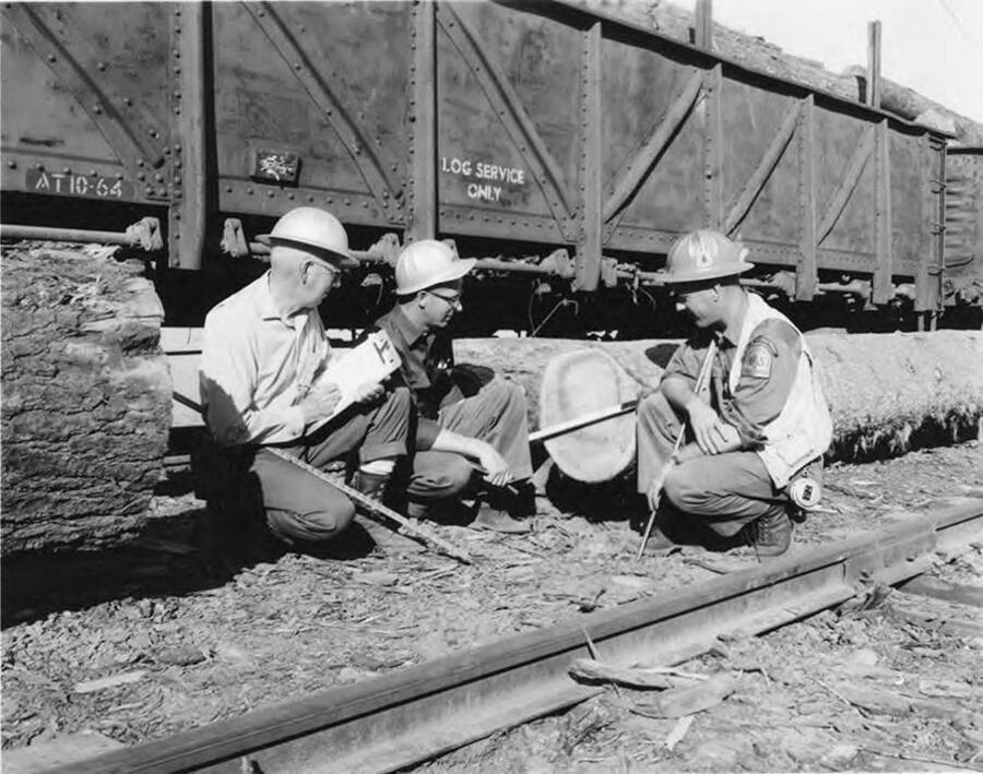 Three men kneel near logs next to the railroad tracks. Two of the men are learning how to scale logs.