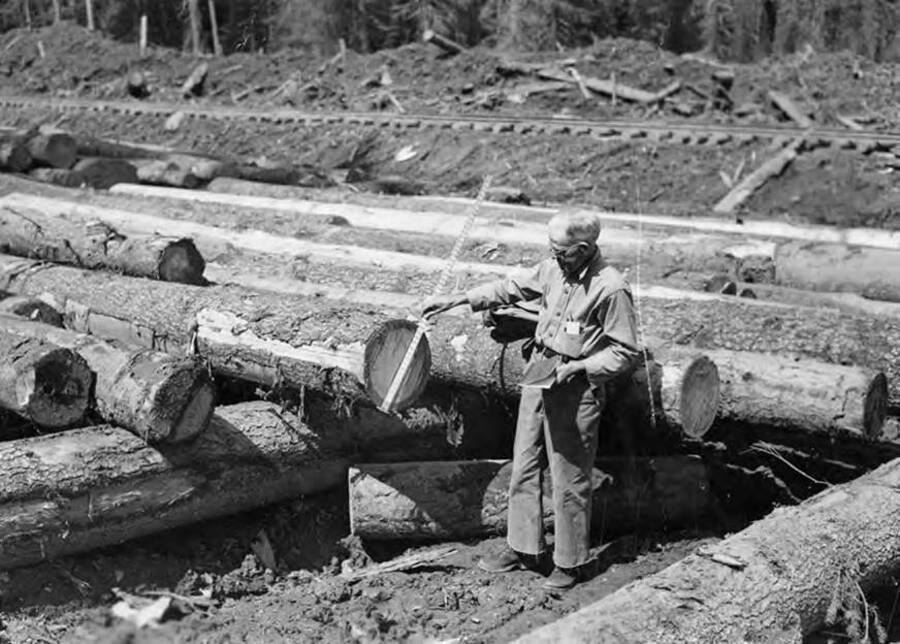 Fred Chamberlain scales logs at Camp 29 on Washington Creek, Idaho.