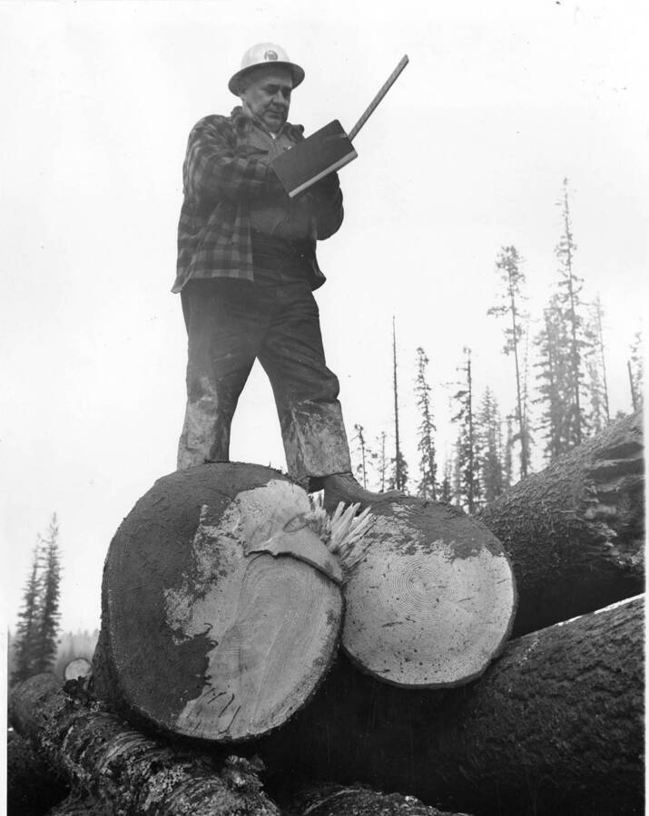 Ross Hall stands atop logs making notes on their scale measurements.