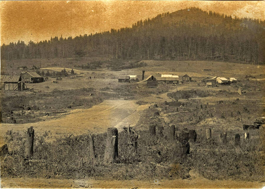 The beginnings of Deary, Idaho. The mountain in the background is Potato Hill.