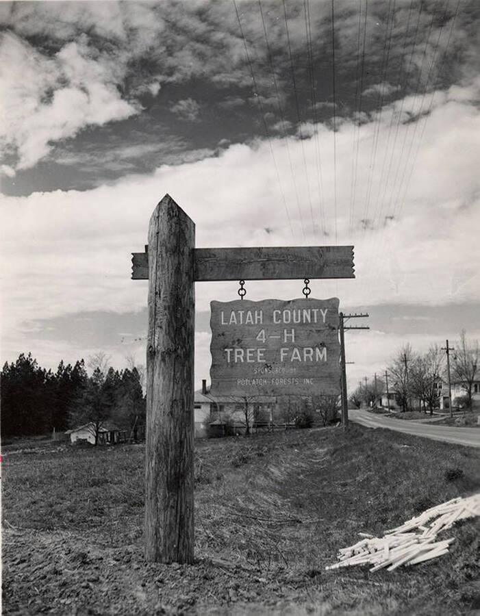 A sign in Latah county announces a 4-H tree farm which was sponsored by the Potlatch Corporation.