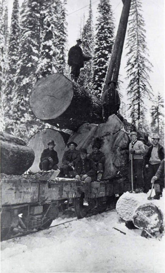 The logs from the White Pine King are loaded on the flat cars to transport to Potlatch, Idaho.