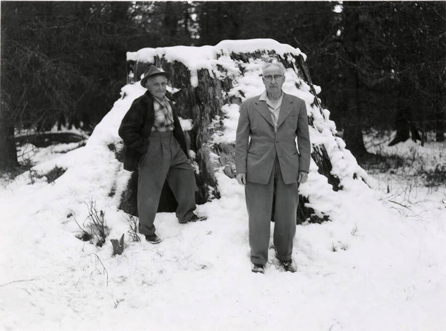 Two men stand in front of the White Pine King stump.