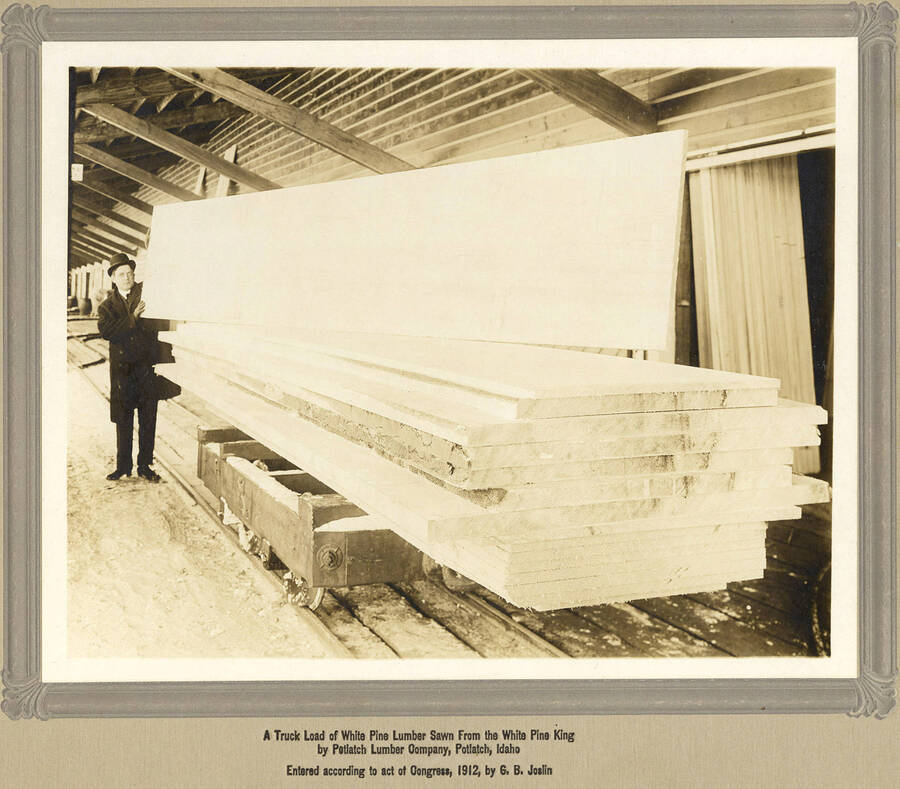 A man stands next to a truck load of white pine lumber sawn from the White Pine King.